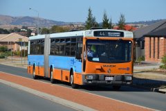 Bus716-MacfarlaneBurnet-Av