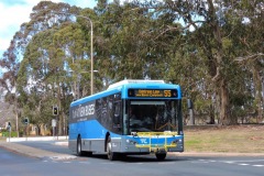BUS717-Currong-Street