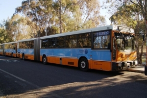 BUS 718-1