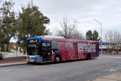 Bus720-Kippax-2