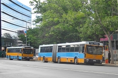 Bus-721-Alinga-Street-2