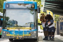 Bus 722 - City Interchange