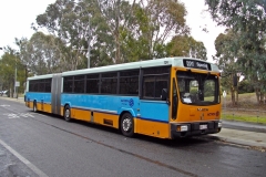 Bus-724-Canberra-Stadium