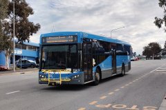 Bus724-CohenSt-1