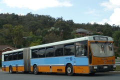Bus-725-Templestowe-Avenue