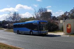 Bus728-JohnClelandCr-1