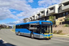 Bus 730 - McMichael Tce