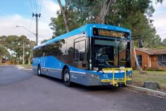 Bus 730 - Spence Terminus