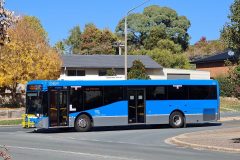 Bus 731 - Cussen Street