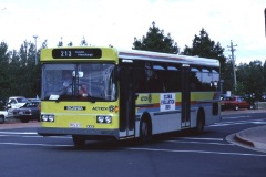 Bus-733-Callam-Street
