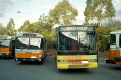 Buses-650-736-and-616