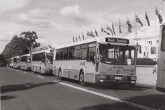 Bus-751-King-George-Terrace