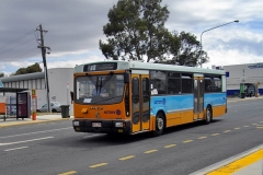 Bus-755-Cohen-Street
