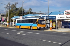 Bus-762-Cohen-Street