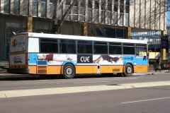 Bus-764-London-Circuit