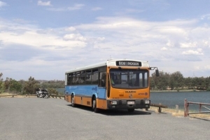 BUS 768