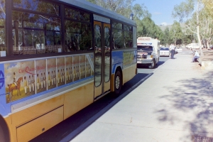 BUS 770