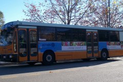 Bus-779-Tuggeranong-Interchange