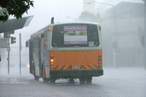 BUS 780