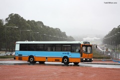 Bus-783-Limestone-Avenue