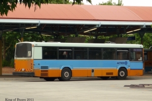 BUS 784