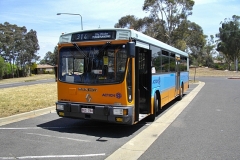 Bus-784-Spence