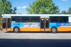 Bus-784-Tuggeranong-Interchange