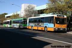 Bus-786-Woden-Interchange