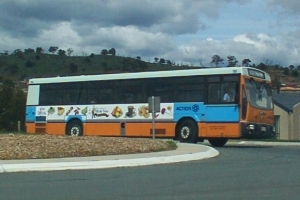 BUS 789