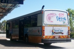 Bus-795-Tuggeranong-Interchange