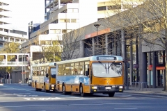 Bus-799-Alinga-Street