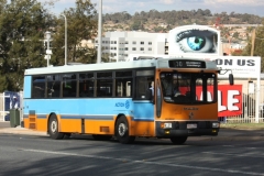 Bus-799-Cohen-Street