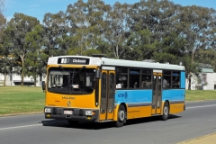 Bus-799-Northbourne-Avenue