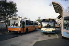 Bus-800-Belconnen-Interchange-3