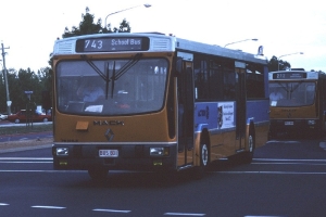 BUS 801-1