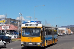 Bus-803-Scollay-Street