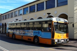 BUS 803-1 