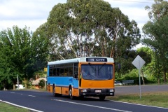 Bus-804-Antill-Street