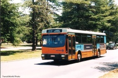 Bus-804-Commonwealth-Avenue