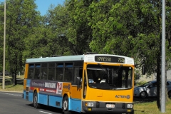 Bus-808-Kings-Avenue