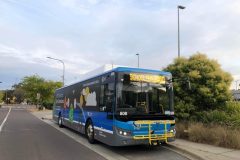 Bus-808-Sidney-Nolan-Street