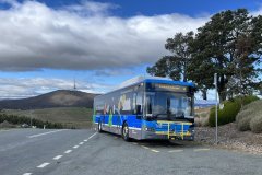 Bus 808 - Forest Drive