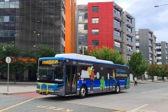 Bus 808 - Rimmer Street