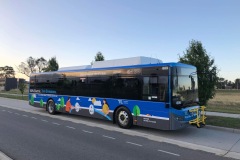 Bus 809 - The Valley Av