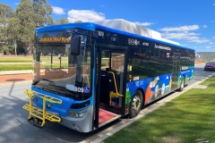 Bus 809 - Anzac Pde