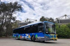 Bus-809-Callam-St-Layover