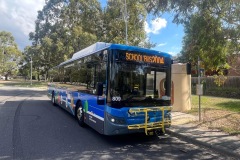 Bus-809-Theodore-Terminus