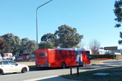 Bus810-IronKnobSt-1