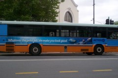 Bus-810-City-Interchange