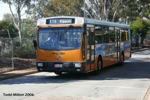 BUS 811-1